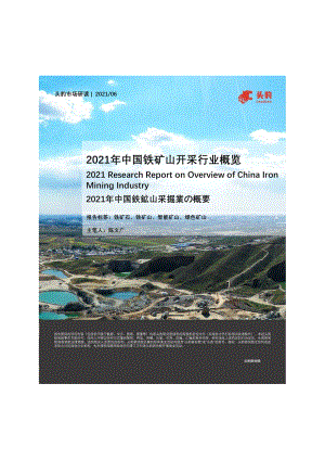 2021年中国铁矿山开采行业概览.pdf