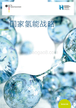 国家氢能战略.pdf