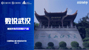 数说武汉：重新发现武汉的烟火气息.pdf