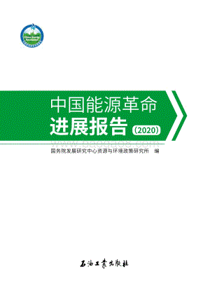 2020中国能源革命进展报告.pdf