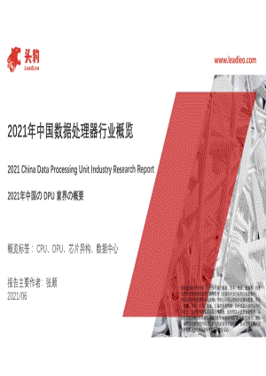 2021年中国数据处理器行业概览.pdf