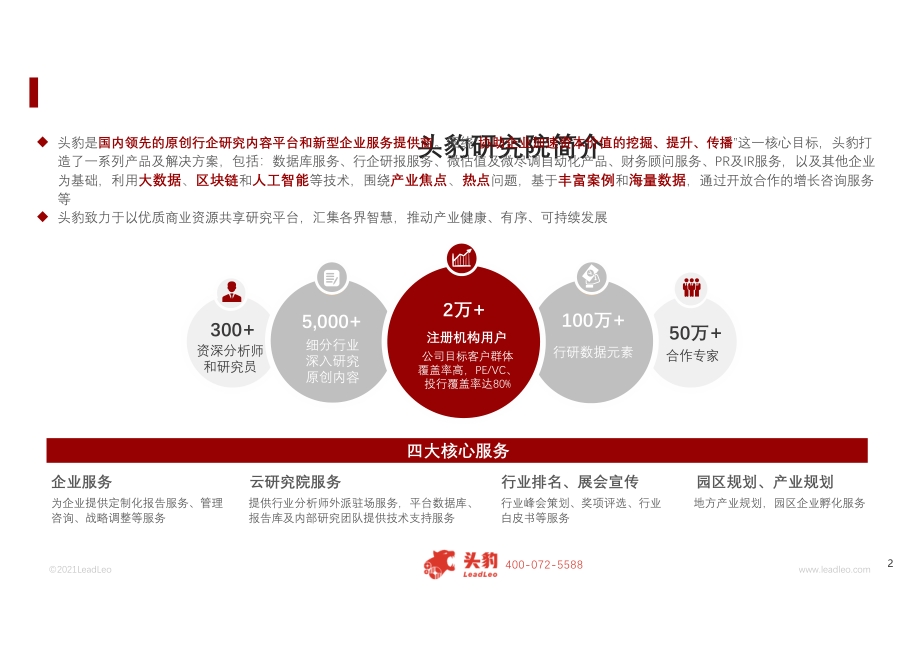 2021年中国肉毒素行业短报告.pdf_第2页