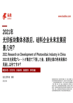 2021年光伏板块集体杀跌后硅料企业未来发展前景几何？.pdf