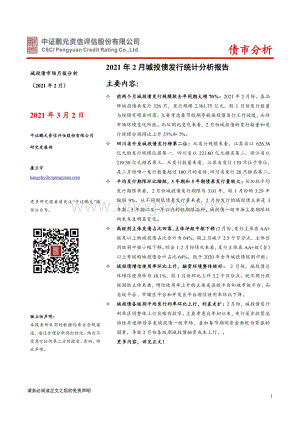 2021年2月城投债市场月报分析.pdf
