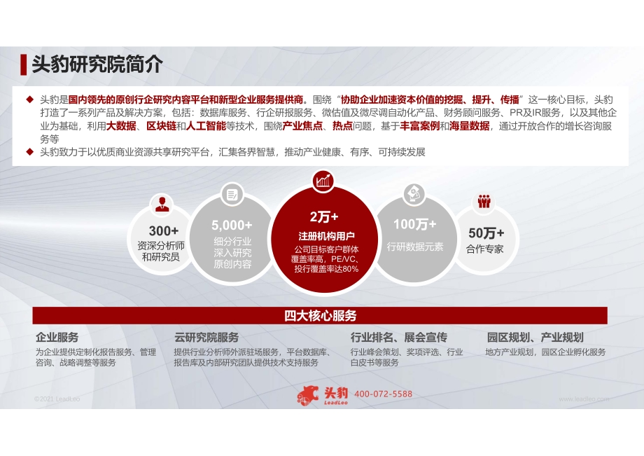 2021年全球光刻机行业概览.pdf_第2页