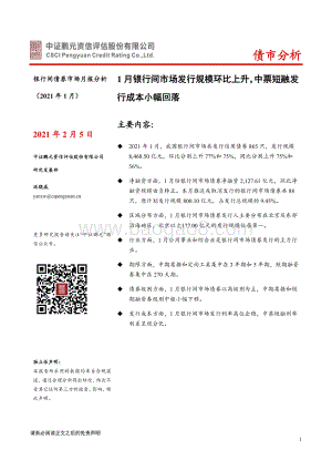 2021年1月银行间债券市场月报分析.pdf