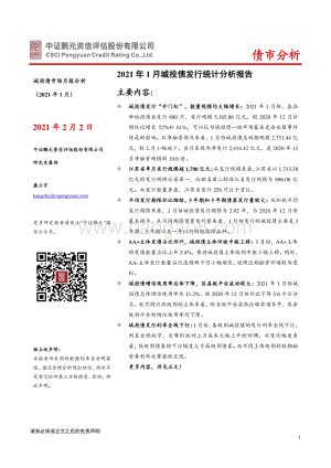 2021年1月城投债市场月报分析.pdf