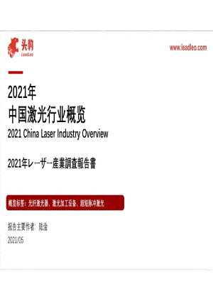 2021年中国激光行业概览.pdf
