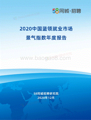 2020中国蓝领就业市场景气指数年度报告.pdf