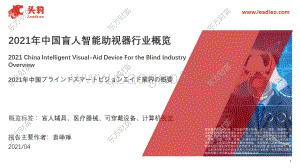 2021年中国盲人智能助视器行业概览.pdf