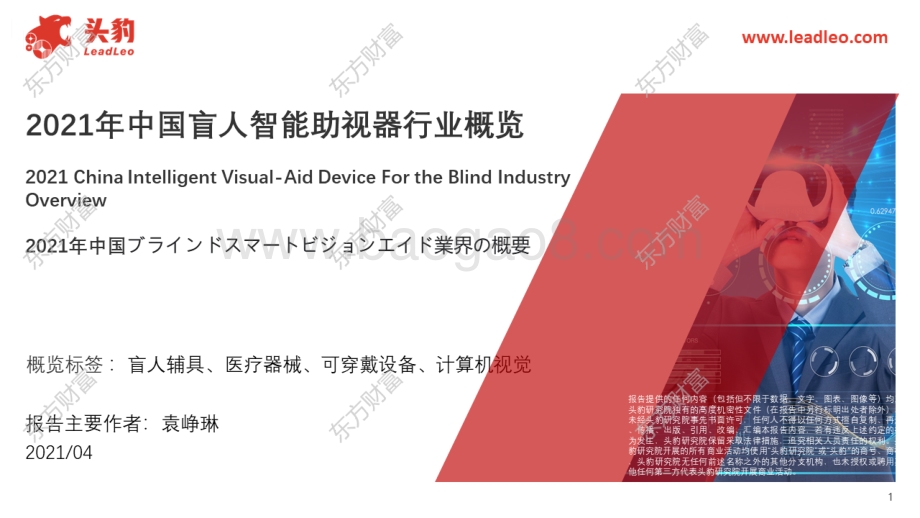 2021年中国盲人智能助视器行业概览.pdf_第1页