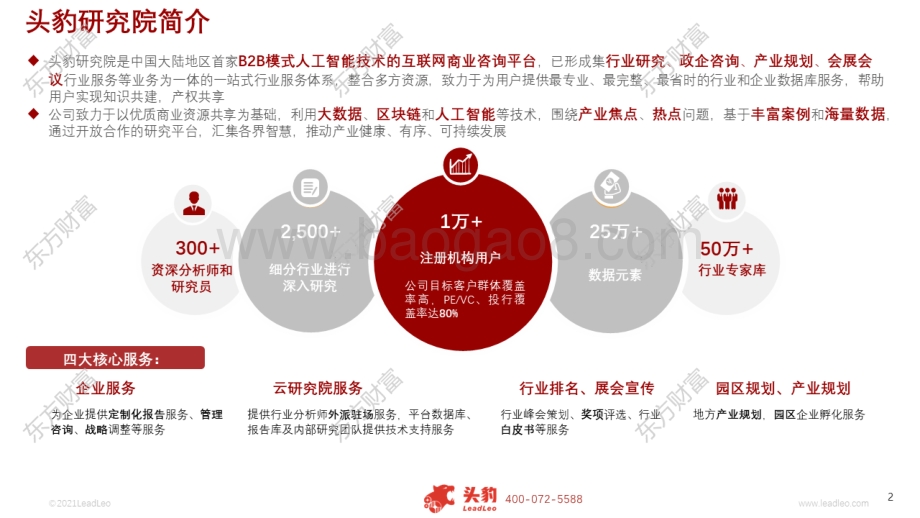 2021年中国盲人智能助视器行业概览.pdf_第2页
