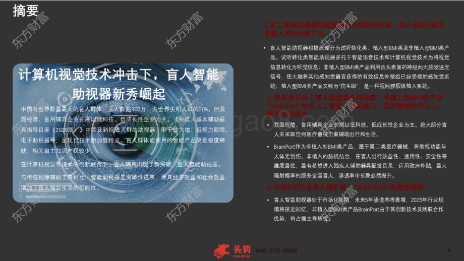 2021年中国盲人智能助视器行业概览.pdf_第4页