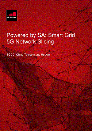 5G独立组网驱动应用案例集：基于5G网络切片的智能电网（英文版）.pdf