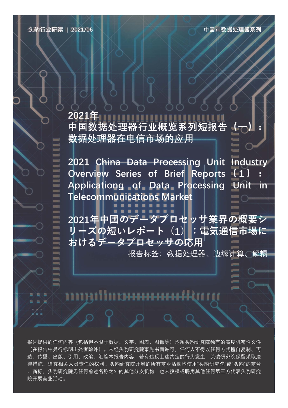 2021年中国数据处理器行业概览系列短报告（一）：数据处理器在电信市场的应用.pdf_第1页