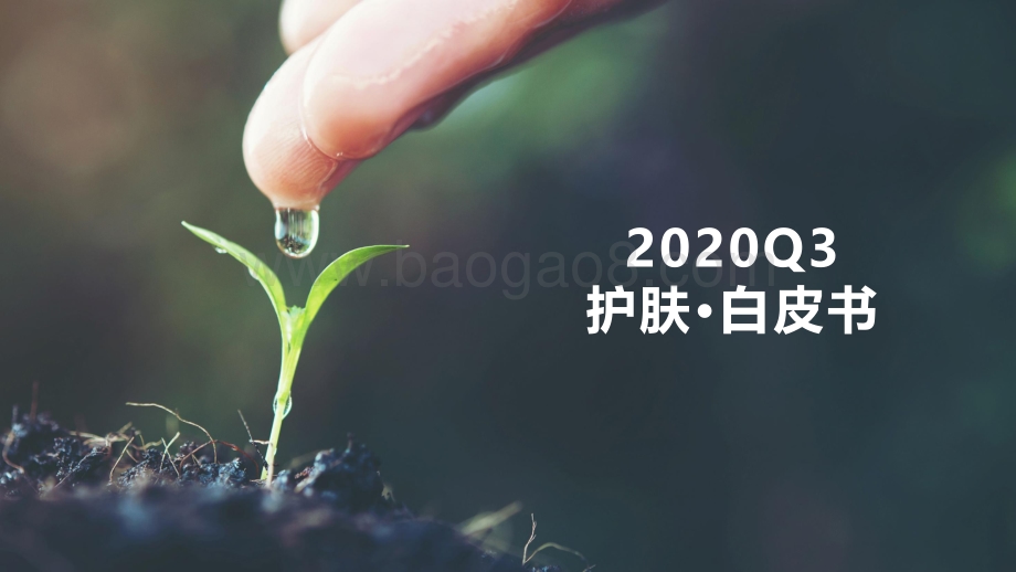 2020年Q3护肤行业白皮书.pdf_第2页