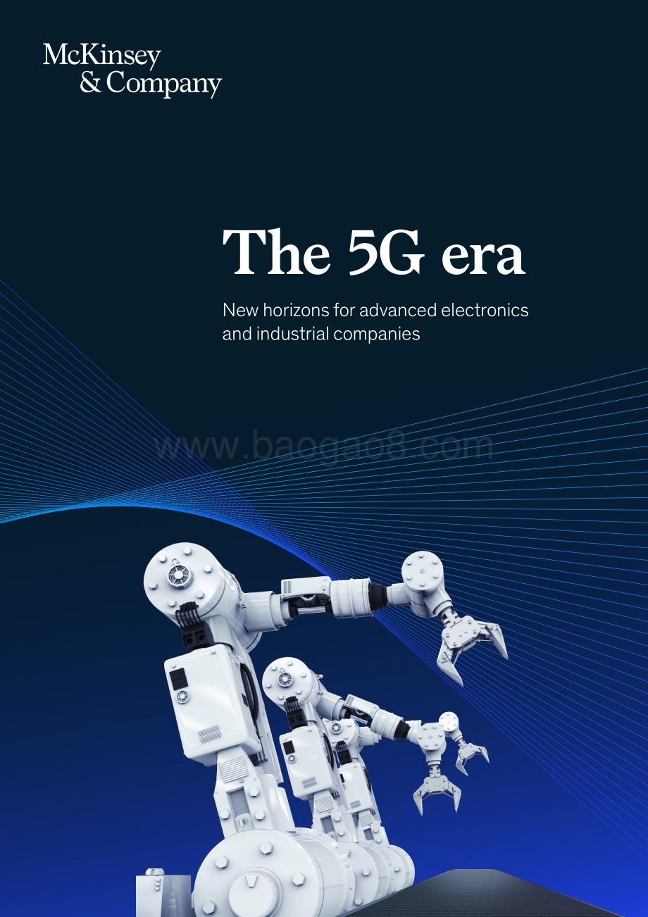 5G时代：先进电子和工业公司的新视野（英文版）.pdf_第1页
