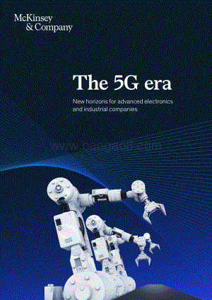 5G时代：先进电子和工业公司的新视野（英文版）.pdf
