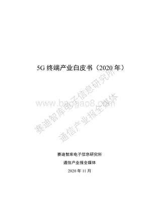 2020年5G终端产业白皮书.pdf