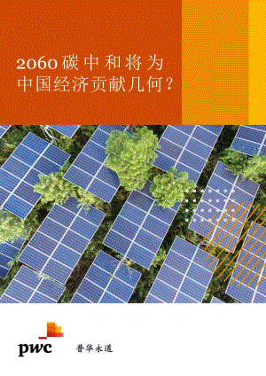 2060碳中和将为中国经济贡献几何？.pdf