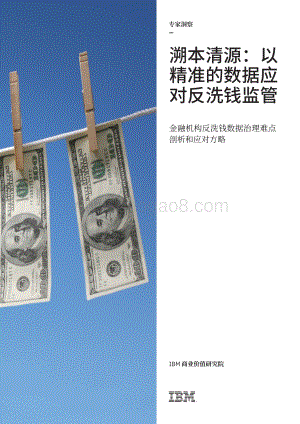 金融机构反洗钱数据治理难点剖析和应对方略：溯本清源：以精准的数据应对反洗钱监管.pdf