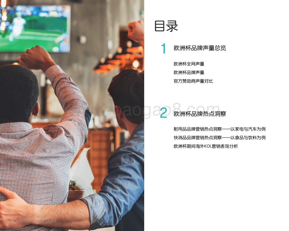 欧洲杯品牌洞察简报.pdf_第3页