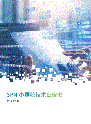 SPN小颗粒技术白皮书.pdf