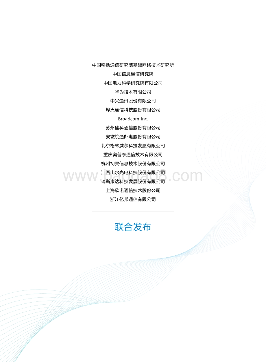 SPN小颗粒技术白皮书.pdf_第2页