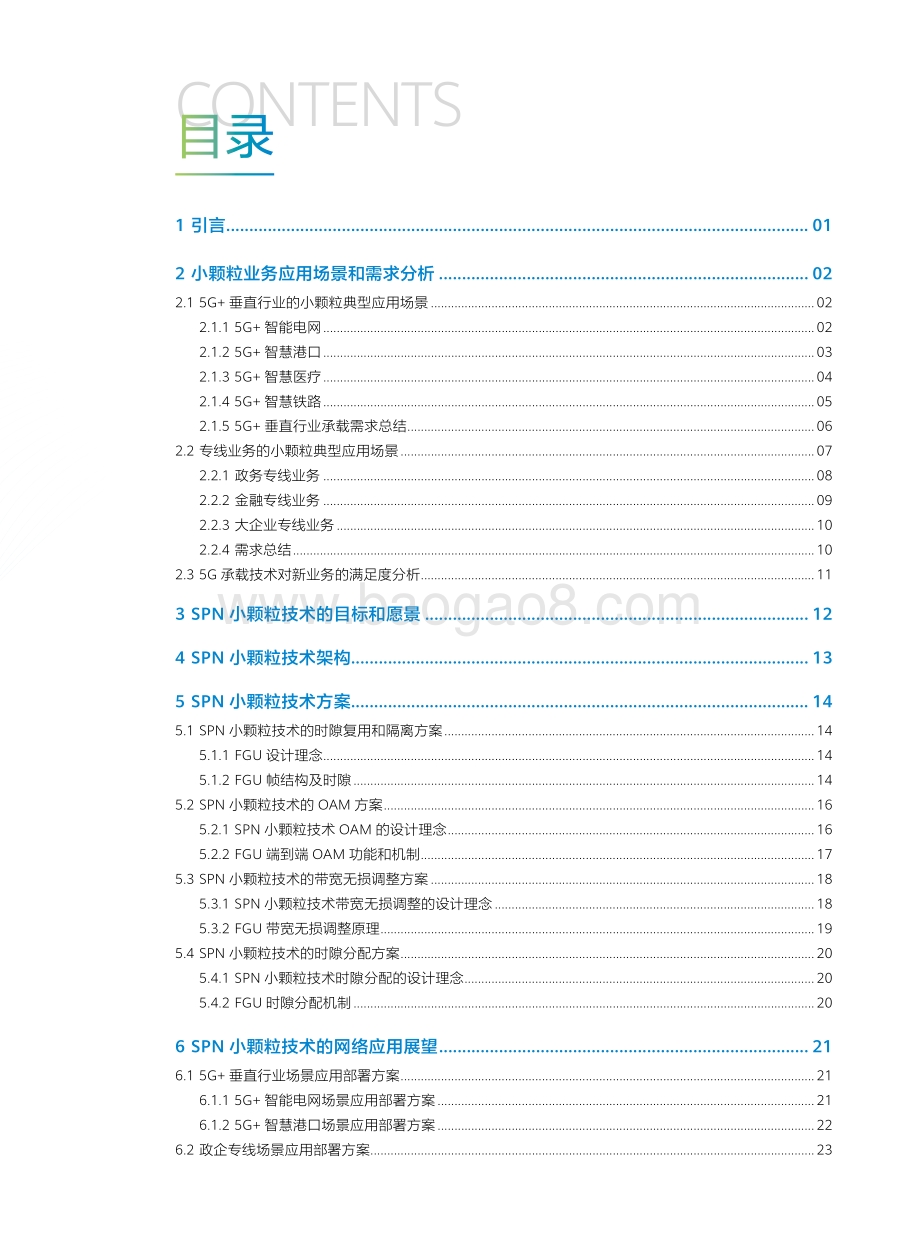 SPN小颗粒技术白皮书.pdf_第3页