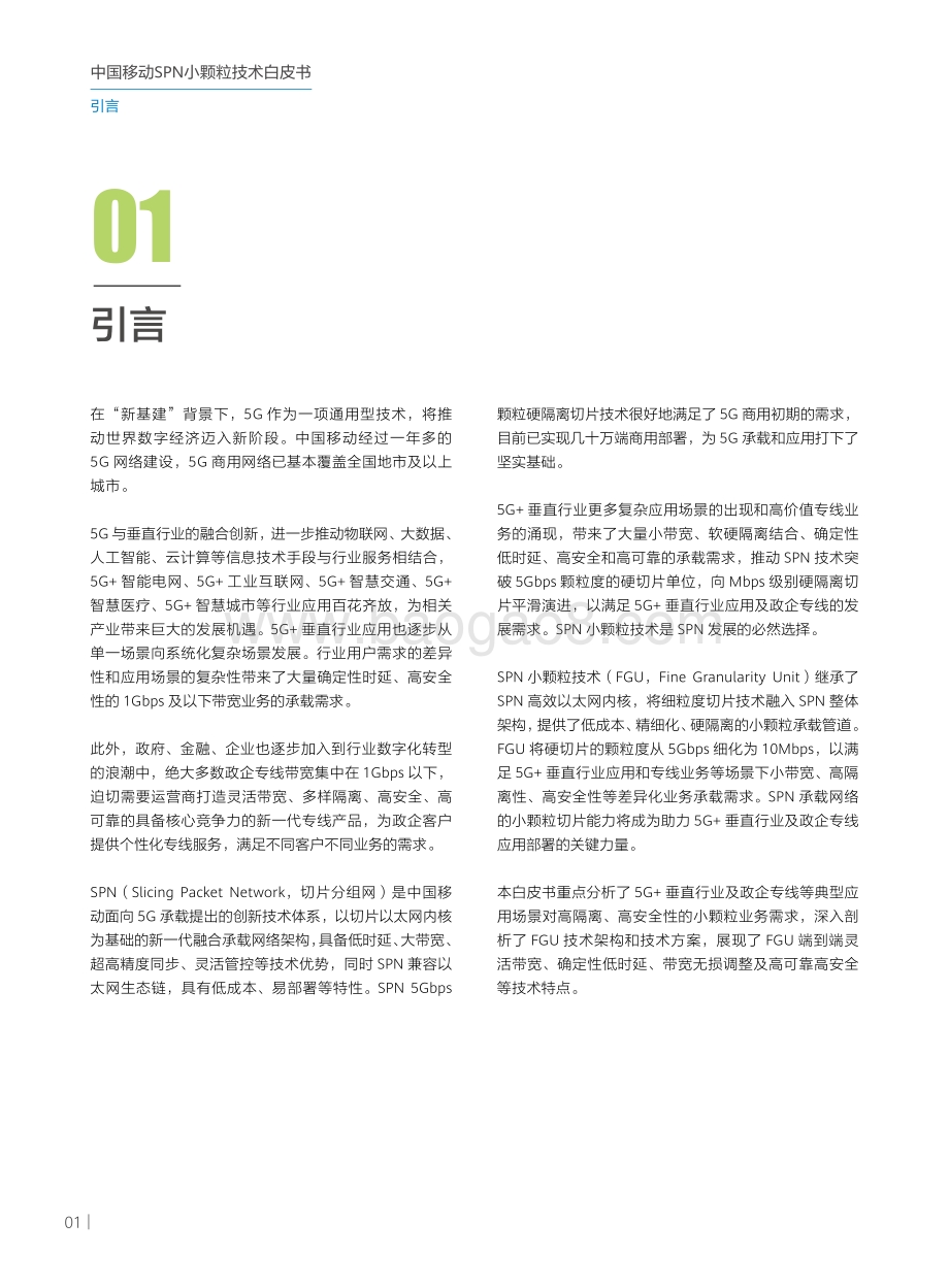 SPN小颗粒技术白皮书.pdf_第4页