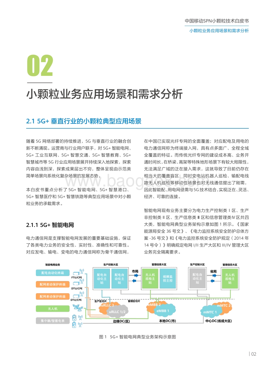 SPN小颗粒技术白皮书.pdf_第5页