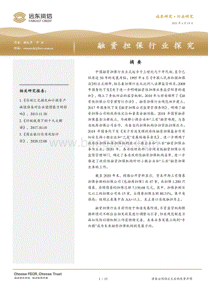 融资担保行业探究.pdf
