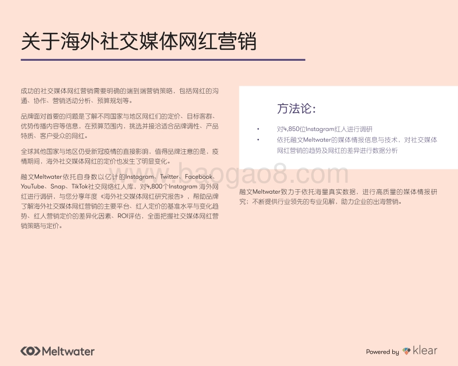 海外社交媒体网红营销研究报告.pdf_第3页