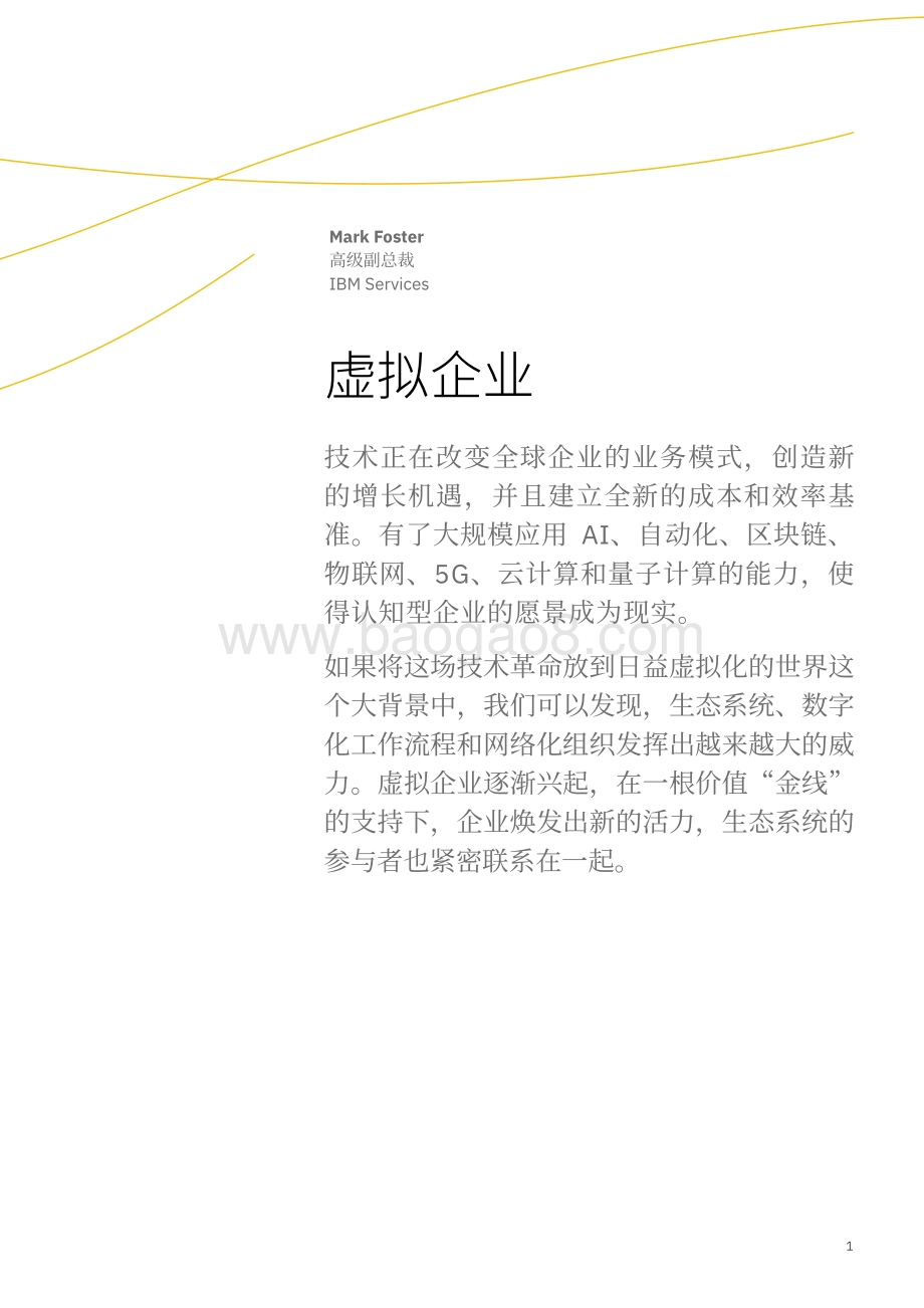 虚拟世界中的认知型企业：虚拟企业.pdf_第3页