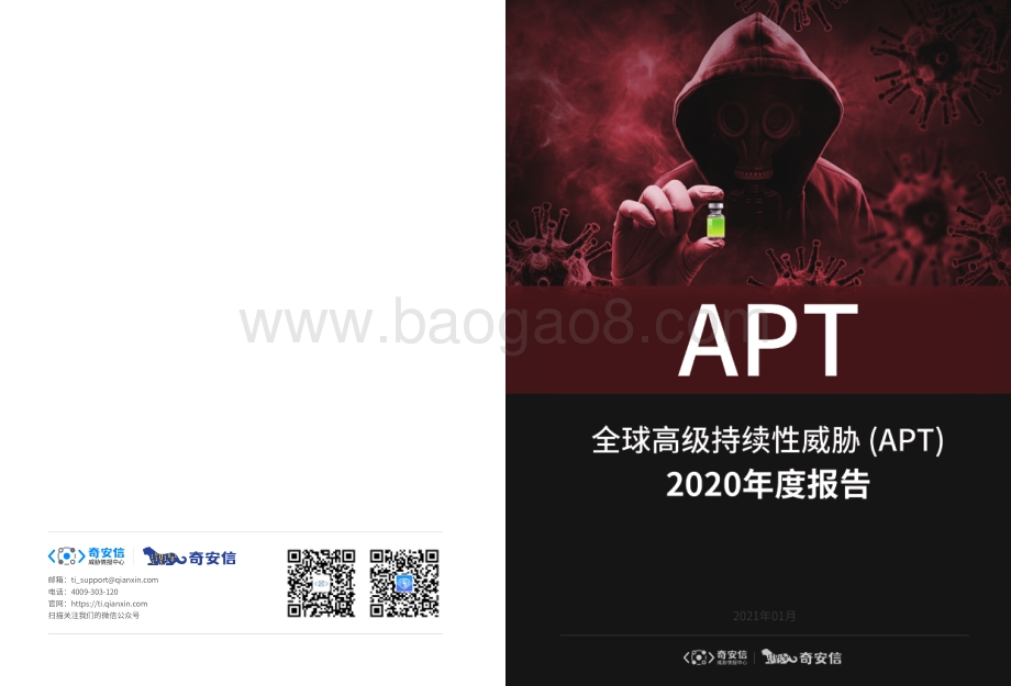 全球高级持续性威胁（APT）2020年度报告.pdf_第1页