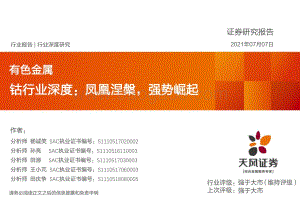 钴行业深度：凤凰涅槃强势崛起.pdf