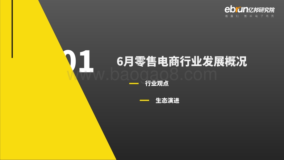零售电商生态观察2021年6月刊.pdf_第3页