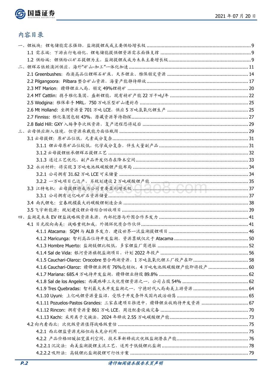 锂资源国内海外“双循环”保供创造战略级赛道、历史性机会.pdf_第2页