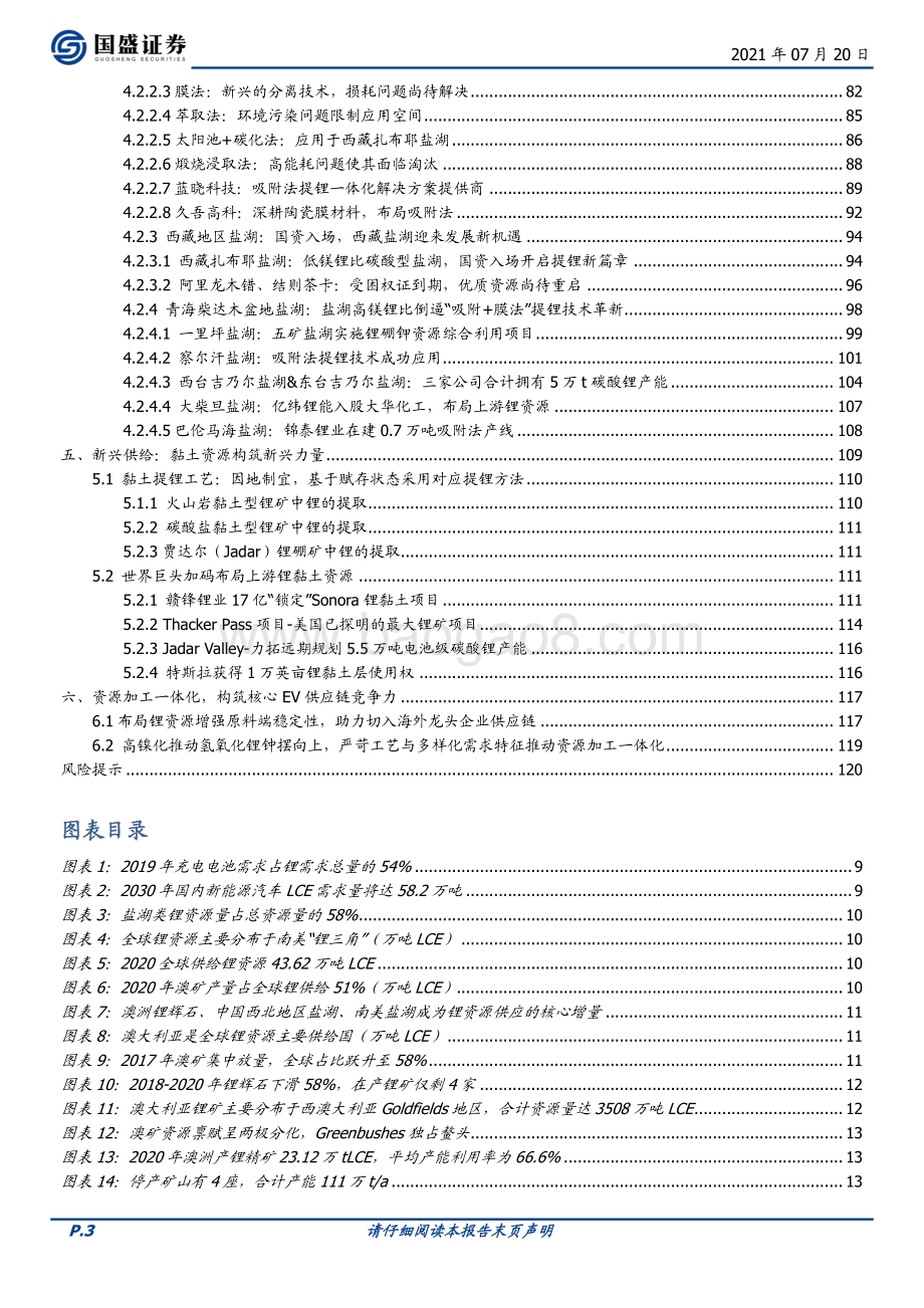 锂资源国内海外“双循环”保供创造战略级赛道、历史性机会.pdf_第3页