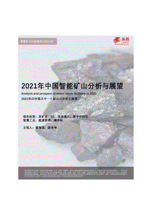 2021年中国智能矿山分析与展望.pdf