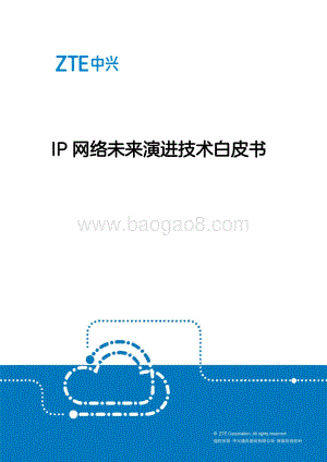 IP网络未来演进技术白皮书.pdf