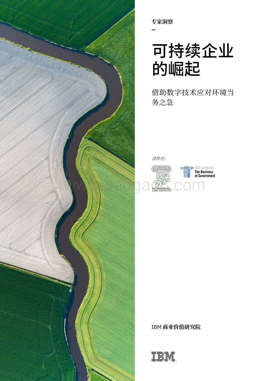 可持续企业的崛起：借助数字技术应对环境当务之急.pdf_第1页