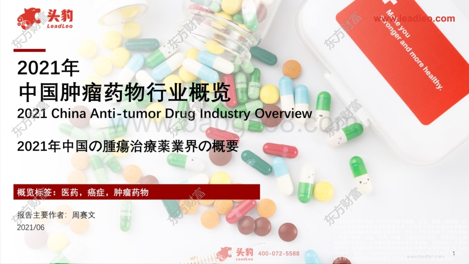 2021年中国肿瘤药物行业概览.pdf_第1页