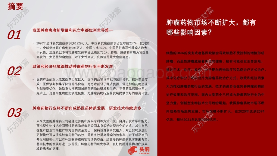 2021年中国肿瘤药物行业概览.pdf_第4页