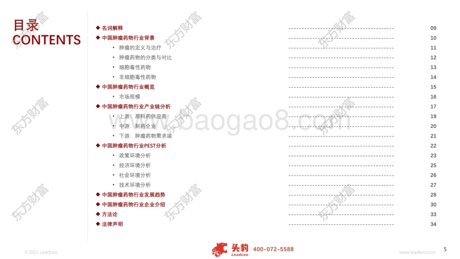 2021年中国肿瘤药物行业概览.pdf_第5页