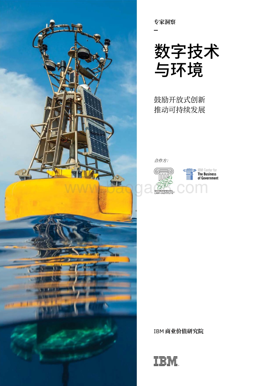 数字技术与环境：鼓励开放式创新推动可持续发展.pdf_第1页