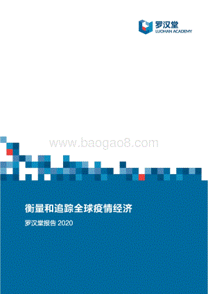 衡量和追踪全球疫情经济.pdf