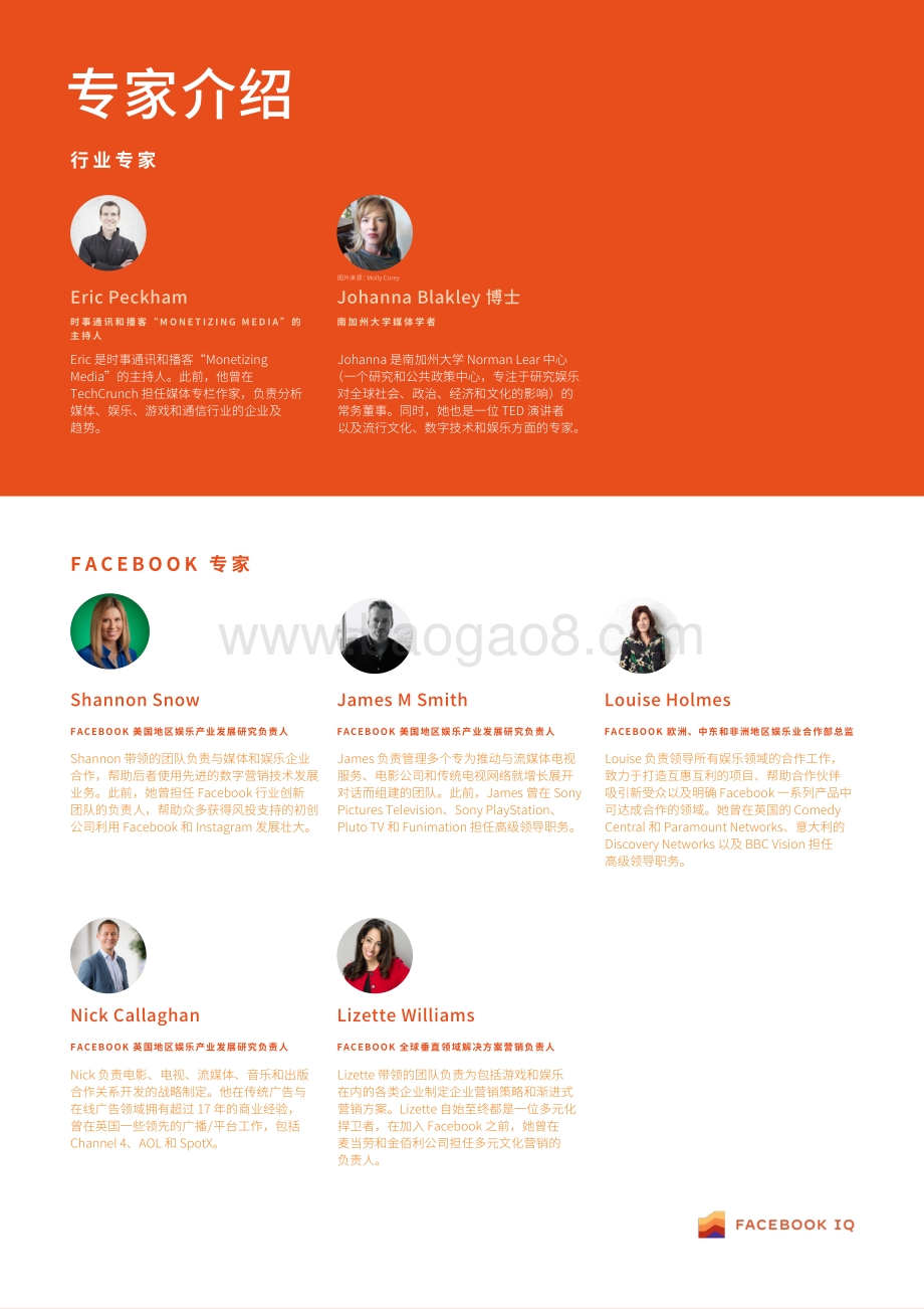 内容、消费与文化变迁：娱乐篇.pdf_第4页