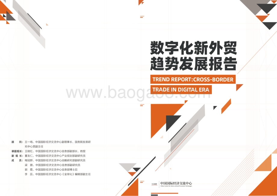 数字化新外贸趋势发展报告.pdf_第1页