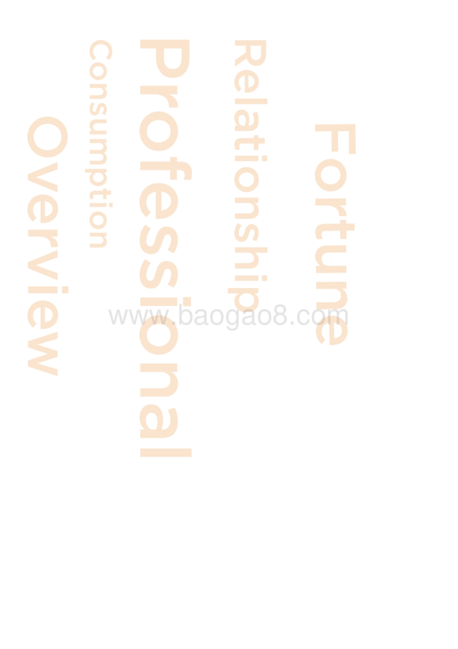 2020新中产白皮书.pdf_第2页